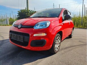 Fiat Panda Easy 1.2i / Voll Fahrbereit / KLIMA /