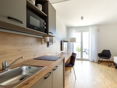 Cosy Apartments - voll ausgestattetes Studio mit Küche